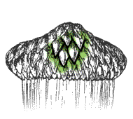 Cup scales usually without hairs, overlap tightly; some acorns may be slightly less than 1" long