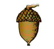 Nuts usually dark brown to black, some may be lighter brown