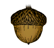 Nuts usually dark brown