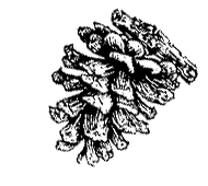 Cone dry and fairly hard