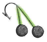 Seed balls in groups of two to five