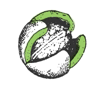 Fruit enclosed in thick, leathery husk or capsule, with or without spines