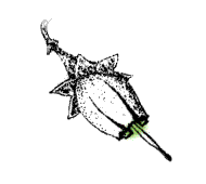 Capsules gray in color, without floss