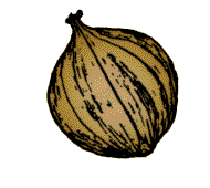 Nut brownish in color