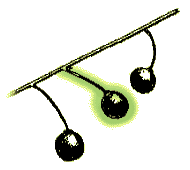 Fruit round, about .3", dark red to purple, borne singly on slender stems