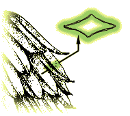 Seed cavity 4-angled